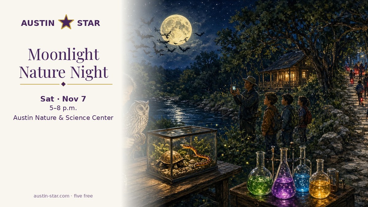 Illustration — Moonlight Nature Night